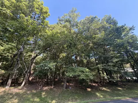 tbd Cascade Trl, Fancy Gap, VA 24328 photo 17