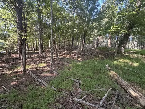 tbd Cascade Trl, Fancy Gap, VA 24328 photo 6