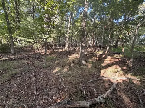 tbd Cascade Trl, Fancy Gap, VA 24328 photo 8