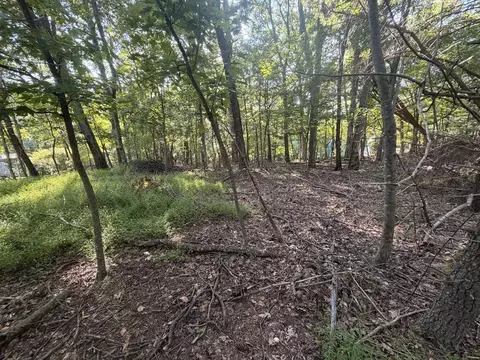 tbd Cascade Trl, Fancy Gap, VA 24328 photo 5