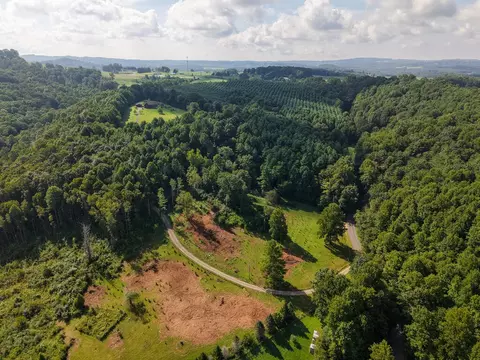 View/Area - 454 Gibson Knob Rd, Laurel Fork, VA 24352 photo 5 of 6