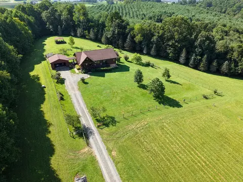 View/Area - 454 Gibson Knob Rd, Laurel Fork, VA 24352 photo 1 of 6