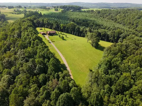 View/Area - 454 Gibson Knob Rd, Laurel Fork, VA 24352 photo 4 of 6