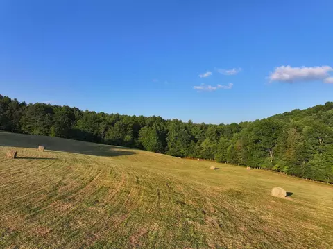 000 NW Shady Grove Rd, Willis, VA 24380 photo 13