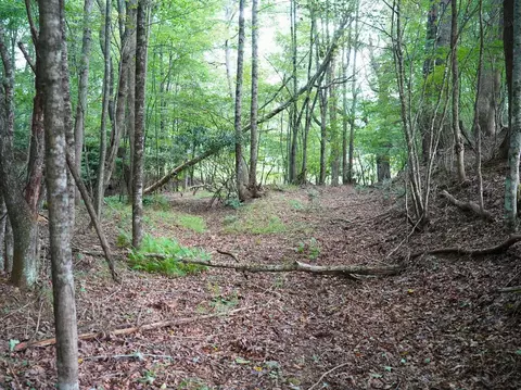 000 NW Shady Grove Rd, Willis, VA 24380 photo 6