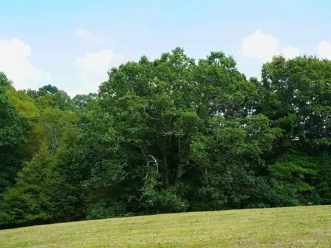 000 NW Shady Grove Rd, Willis, VA 24380 photo 23
