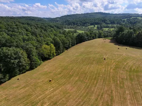 000 NW Shady Grove Rd, Willis, VA 24380 photo 7