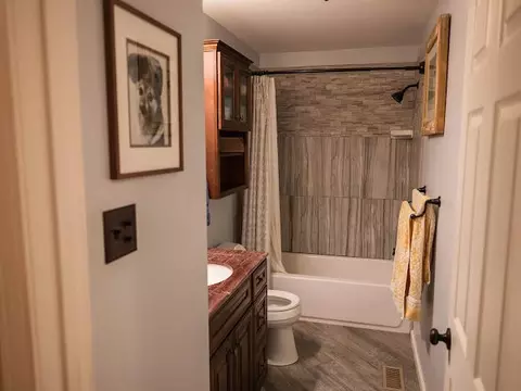 Bath - 25597 Cornelius Dr, Abingdon, VA 24211 photo 1 of 4