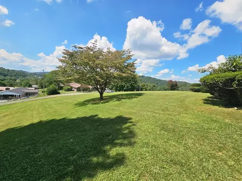 Exterior - 154 Stapleton St, Pounding Mill, VA 24637 photo 7 of 16