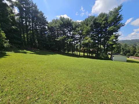 Exterior - 154 Stapleton St, Pounding Mill, VA 24637 photo 10 of 16