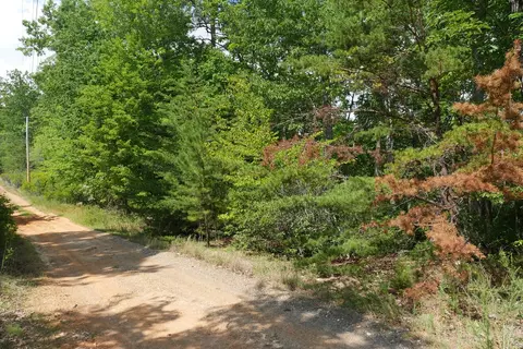 0 Wesley Dr, Amherst, VA 24572