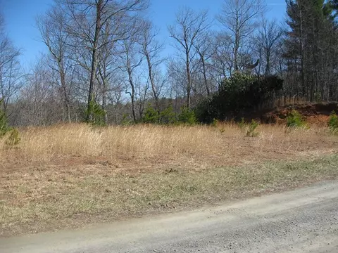 tbd Grapevine Ln, Woodlawn, VA 24381