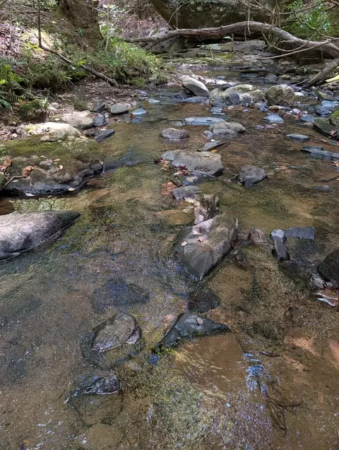 Other - 310 Vfw Rd, Patrick Springs, VA 24133 photo 5 of 7