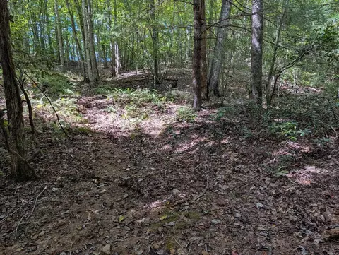 Exterior - 310 Vfw Rd, Patrick Springs, VA 24133 photo 5 of 9