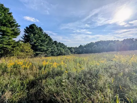 tbd High Rock Hill Rd, Pilot, VA 24138 photo 11