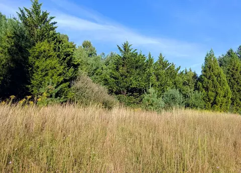 tbd High Rock Hill Rd, Pilot, VA 24138 photo 8