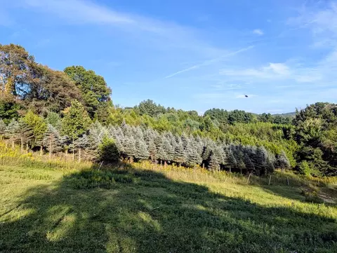 tbd High Rock Hill Rd, Pilot, VA 24138 photo 4