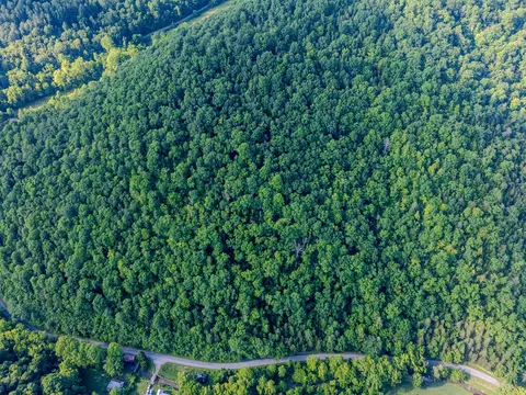 tbd Dry Fork Rd, Cedar Bluff, VA 24609 photo 4