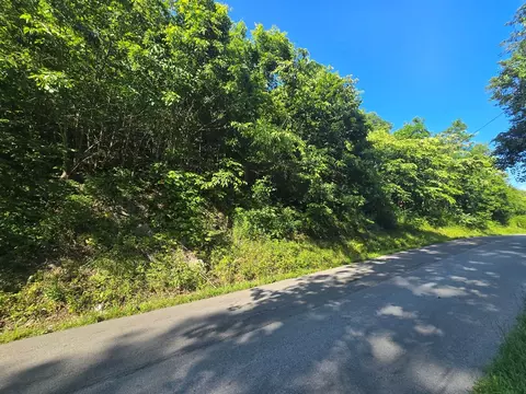 tbd Dry Fork Rd, Cedar Bluff, VA 24609 photo 3