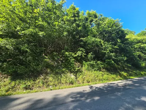 tbd Dry Fork Rd, Cedar Bluff, VA 24609 photo 2