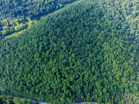 tbd Dry Fork Rd, Cedar Bluff, VA 24609 photo 6