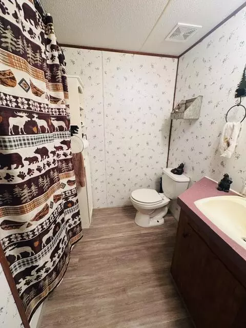 Bath - 750 Apache Tr, Fancy Gap, VA 24328 photo 3 of 3