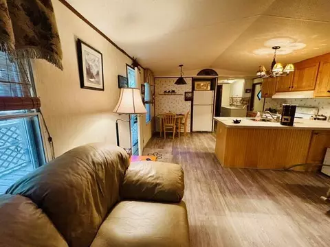 Living - 750 Apache Tr, Fancy Gap, VA 24328 photo 3 of 3