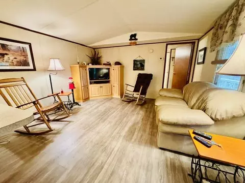 Living - 750 Apache Tr, Fancy Gap, VA 24328 photo 2 of 3
