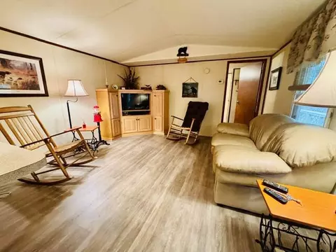 Living - 750 Apache Tr, Fancy Gap, VA 24328 photo 1 of 3