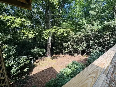 Exterior - 750 Apache Tr, Fancy Gap, VA 24328 photo 7 of 11