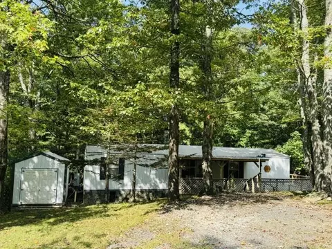 Exterior - 750 Apache Tr, Fancy Gap, VA 24328 photo 2 of 11
