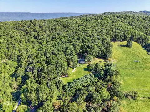 View/Area - 403 Wright Mountain Dr, Bland, VA 24315 photo 3 of 9