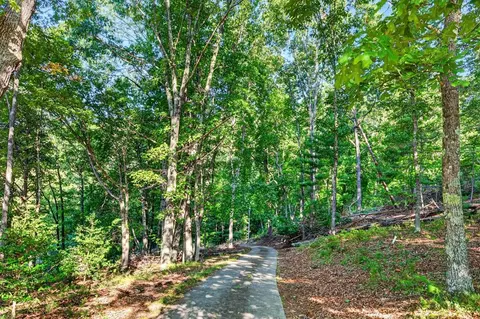 Other - 403 Wright Mountain Dr, Bland, VA 24315 photo 16 of 17
