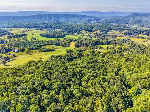 View/Area - 403 Wright Mountain Dr, Bland, VA 24315 photo 6 of 9
