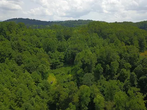 tbd Cardinal, Galax, VA 24333 photo 5