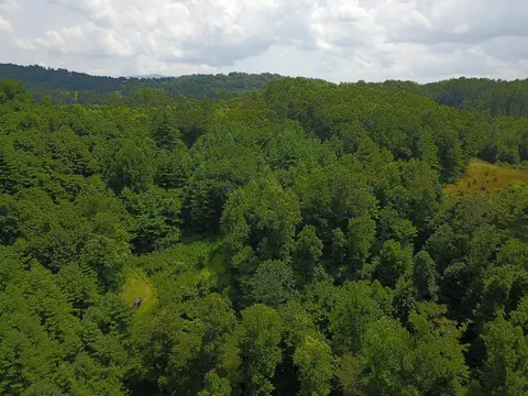 tbd Cardinal, Galax, VA 24333 photo 3