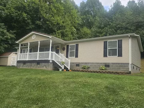 Exterior - 193 Chestnut St, Pounding Mill, VA 24637 photo 3 of 14