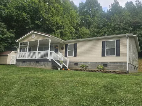 Exterior - 193 Chestnut St, Pounding Mill, VA 24637 photo 9 of 14