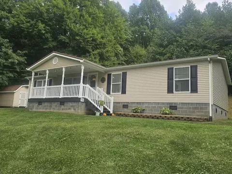 Exterior - 193 Chestnut St, Pounding Mill, VA 24637 photo 10 of 14