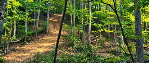 36 Acres Baptist Vly, Cedar Bluff, VA 24609 photo 28