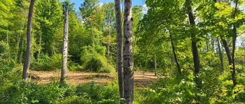 36 Acres Baptist Vly, Cedar Bluff, VA 24609 photo 36