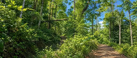 36 Acres Baptist Vly, Cedar Bluff, VA 24609 photo 24