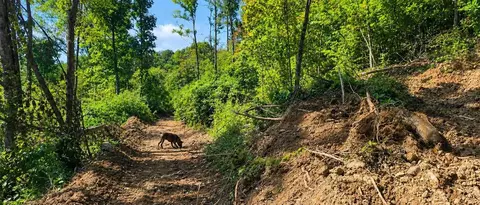36 Acres Baptist Vly, Cedar Bluff, VA 24609 photo 16