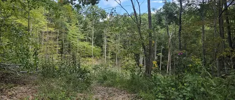 36 Acres Baptist Vly, Cedar Bluff, VA 24609 photo 10
