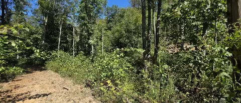 36 Acres Baptist Vly, Cedar Bluff, VA 24609 photo 7