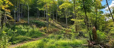 36 Acres Baptist Vly, Cedar Bluff, VA 24609 photo 33