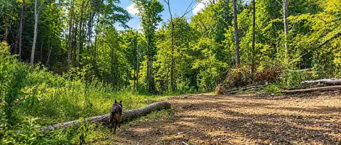 36 Acres Baptist Vly, Cedar Bluff, VA 24609 photo 30
