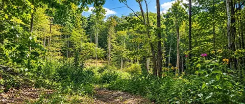 36 Acres Baptist Vly, Cedar Bluff, VA 24609 photo 32