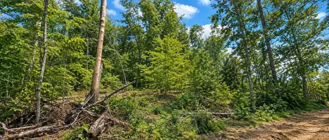 36 Acres Baptist Vly, Cedar Bluff, VA 24609 photo 41