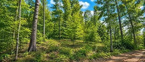 36 Acres Baptist Vly, Cedar Bluff, VA 24609 photo 42